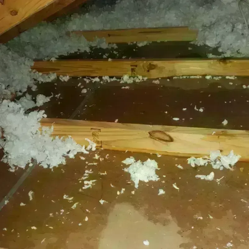 Attic Water Damage in Grand Canyon Village, AZ