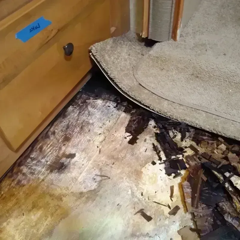 Best Wood Floor Water Damage Service in Grand Canyon Village, AZ